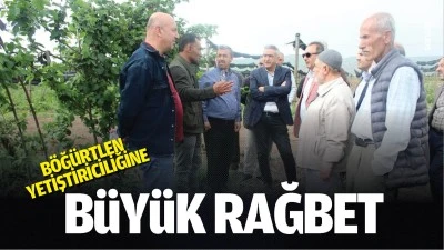 B&ouml;ğ&uuml;rtlen yetiştiriciliğine b&uuml;y&uuml;k rağbet