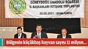 B&ouml;lgenin k&uuml;&ccedil;&uuml;kbaş hayvan sayısı 11 milyon&hellip;