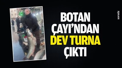Botan &Ccedil;ayı&rsquo;ndan dev turna &ccedil;ıktı