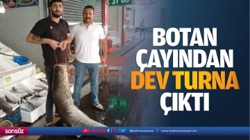 Botan &Ccedil;ayından dev turna &ccedil;ıktı