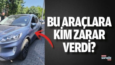 Bu ara&ccedil;lara kim zarar verdi?