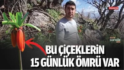 Bu &ccedil;i&ccedil;eklerin 15 g&uuml;nl&uuml;k &ouml;mr&uuml; var