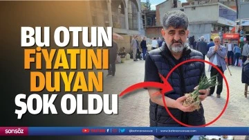 Bu otun fiyatını duyan şok oldu