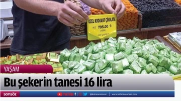 Bu şekerin tanesi 16 lira