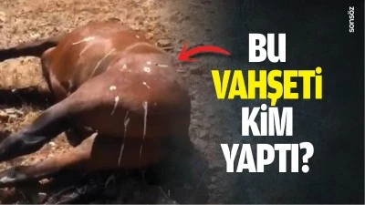 Bu vahşeti kim yaptı?