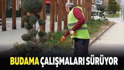 Budama &ccedil;alışmaları s&uuml;r&uuml;yor