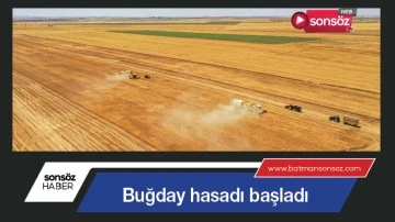 Buğday hasadı başladı