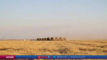 Buğday hasadı bayramda da s&uuml;rd&uuml;