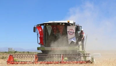 Buğday hasat şenliği d&uuml;zenlendi