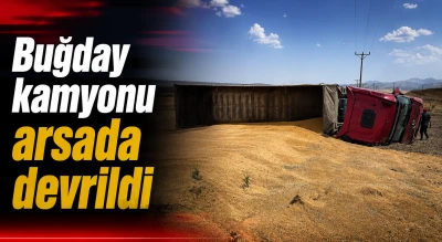 Buğday kamyonu arsada devrildi