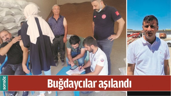 BUĞDAYCILAR AŞILANDI