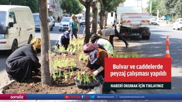 Bulvar ve caddelerde peyzaj &ccedil;alışması yapıldı