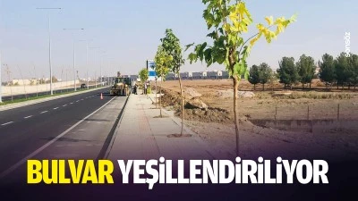 Bulvar yeşillendiriliyor
