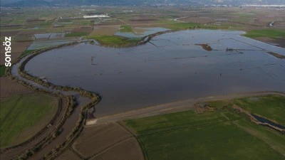 B&uuml;y&uuml;k Menderes Nehri'nde taşkınlar yaşandı
