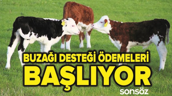 BUZAĞI DESTEĞİ &Ouml;DEMELERİ BAŞLIYOR