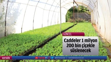 Caddeler 1 milyon 200 bin &ccedil;i&ccedil;ekle s&uuml;slenecek