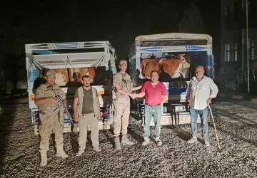 &Ccedil;aldığı hayvanları satmaya &ccedil;alışan zanlı tutuklandı