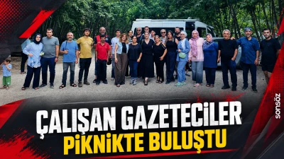 &Ccedil;alışan Gazeteciler, piknikte buluştu