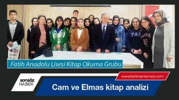 Cam ve Elmas kitap analizi
