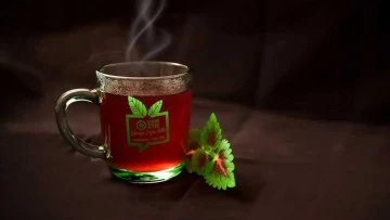 Cama ge&ccedil;ti 150 ton atık &ouml;nlendi