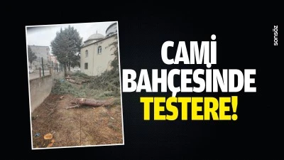 Cami bah&ccedil;esinde testere!