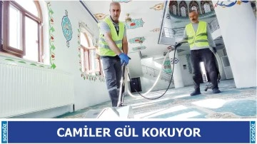 Camiler g&uuml;l kokuyor