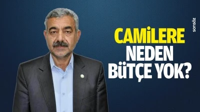 Camilere neden b&uuml;t&ccedil;e yok?