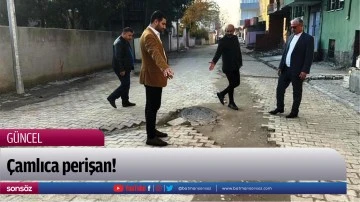 &Ccedil;amlıca perişan!