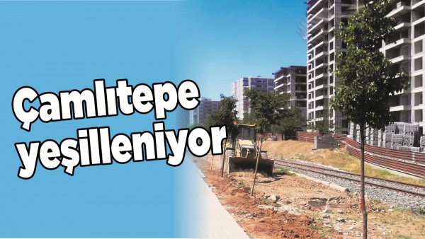 &Ccedil;AMLITEPE YEŞİLLENİYOR