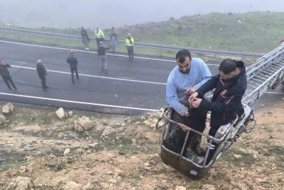 &Ccedil;amura saplanan 2 ke&ccedil;iyi itfaiye kurtardı