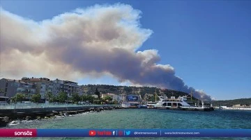 &Ccedil;anakkale'deki orman yangını nedeniyle bir k&ouml;y tedbiren boşaltıldı