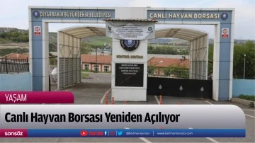 Canlı Hayvan Borsası Yeniden A&ccedil;ılıyor