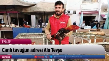 Canlı tavuğun adresi Alo Tevşo