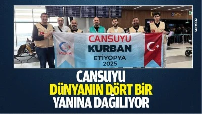 Cansuyu, d&uuml;nyanın d&ouml;rt bir yanına dağılıyor