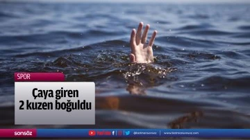 &Ccedil;aya giren 2 kuzen boğuldu