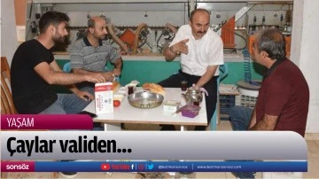 &Ccedil;aylar validen&hellip;