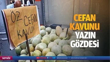 Cefan kavunu yazın g&ouml;zdesi