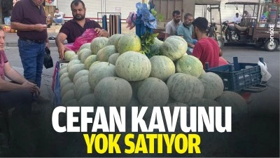 Cefan kavunu yok satıyor