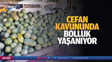 Cefan kavununda bolluk yaşanıyor