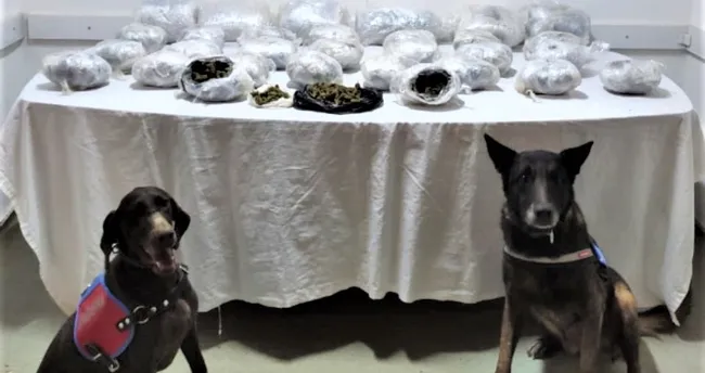 &Ccedil;ekicide 10 kilo 900 gram uyuşturucu ele ge&ccedil;irildi