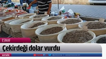 &Ccedil;ekirdeği dolar vurdu 