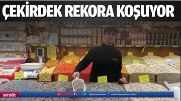 &Ccedil;ekirdek rekora koşuyor