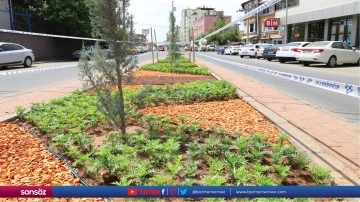 Cemiloğlu Caddesi&rsquo;nde peyzaj &ccedil;alışması yapıldı
