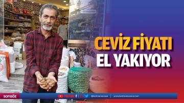 Ceviz fiyatı el yakıyor