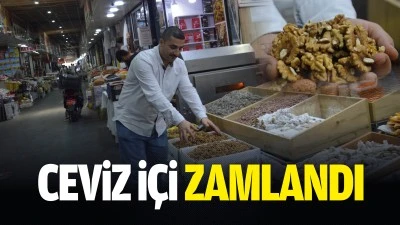 Ceviz i&ccedil;i zamlandı