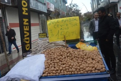 Cevizde &uuml;retim arttı, fiyatlar d&uuml;şt&uuml;