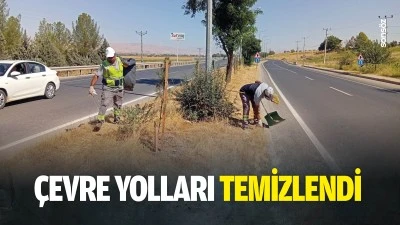 &Ccedil;evre yolları temizlendi