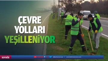&Ccedil;evre yolları yeşilleniyor