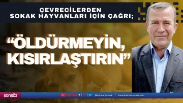 &Ccedil;evrecilerden sokak hayvanları i&ccedil;in &ccedil;ağrı