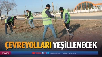 &Ccedil;evreyolları yeşillenecek